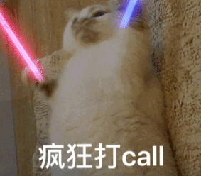 疯狂打call(猫咪)