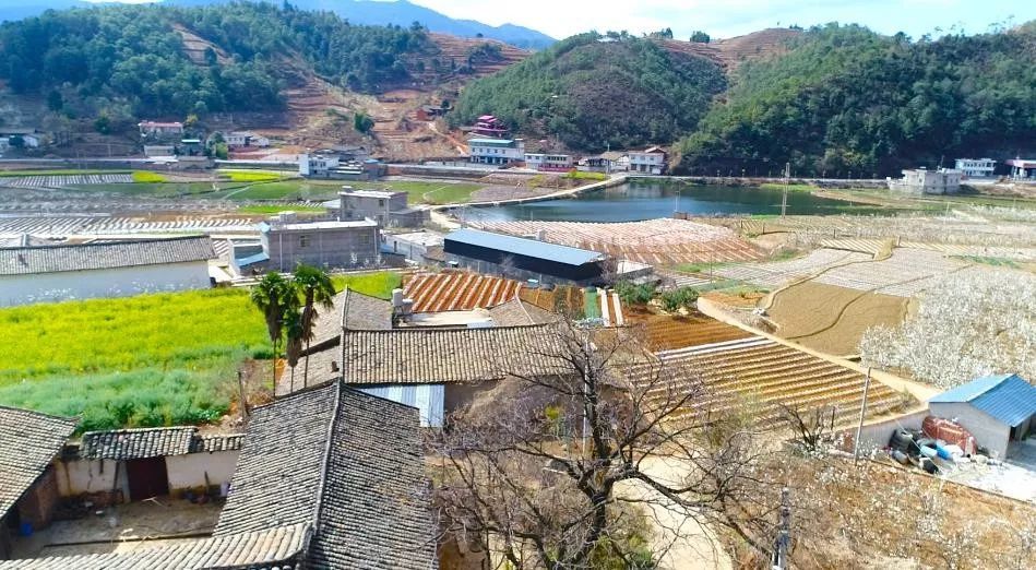 攀枝花,彝族,红格镇,民宿