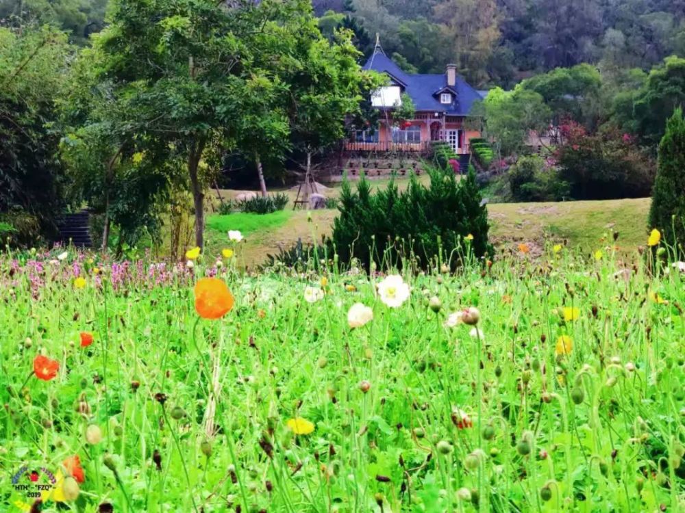 花卉园,谢雨真,植物园,方志秋,厦门,沈生