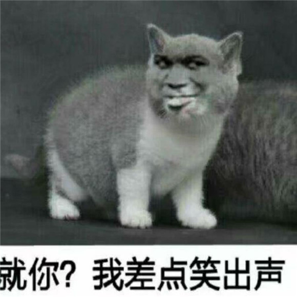 表情包:就你?我差点笑出声