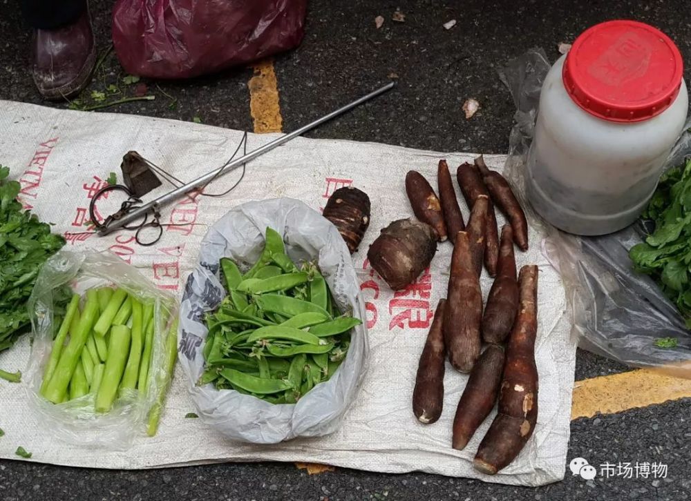 4,蕉芋,可以煲汤,煲糖水,也可以煮熟直接啃,其实一般般.