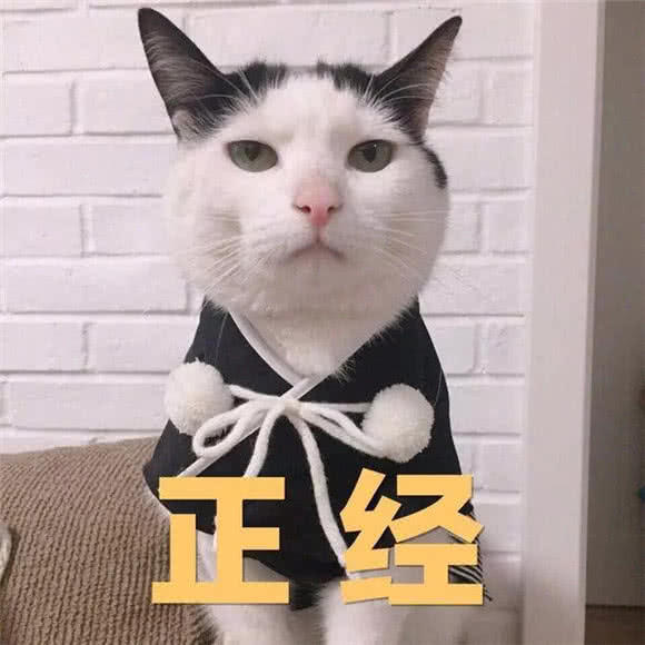 美好的一天从斗图开始,这些表情包帮你补充弹药,所向披靡