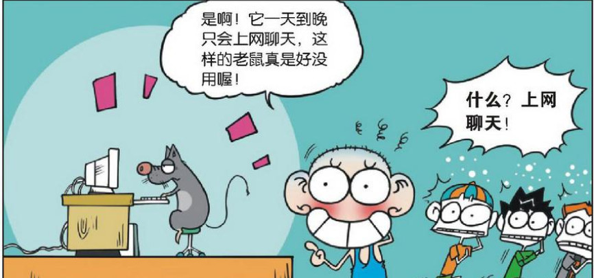 东西,呆头家的老鼠只会上网聊天-天天快报
