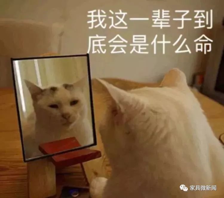 让男朋友买完家具后……后悔当初瞎了眼!
