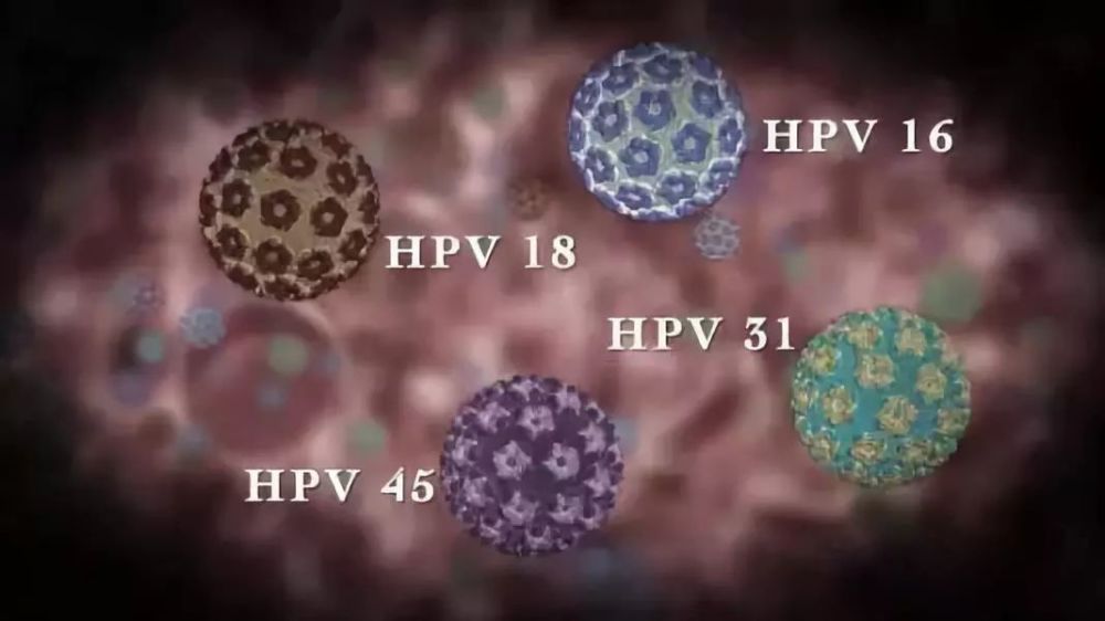 6岁男孩感染hpv,男性也要打宫颈癌疫苗?真相是