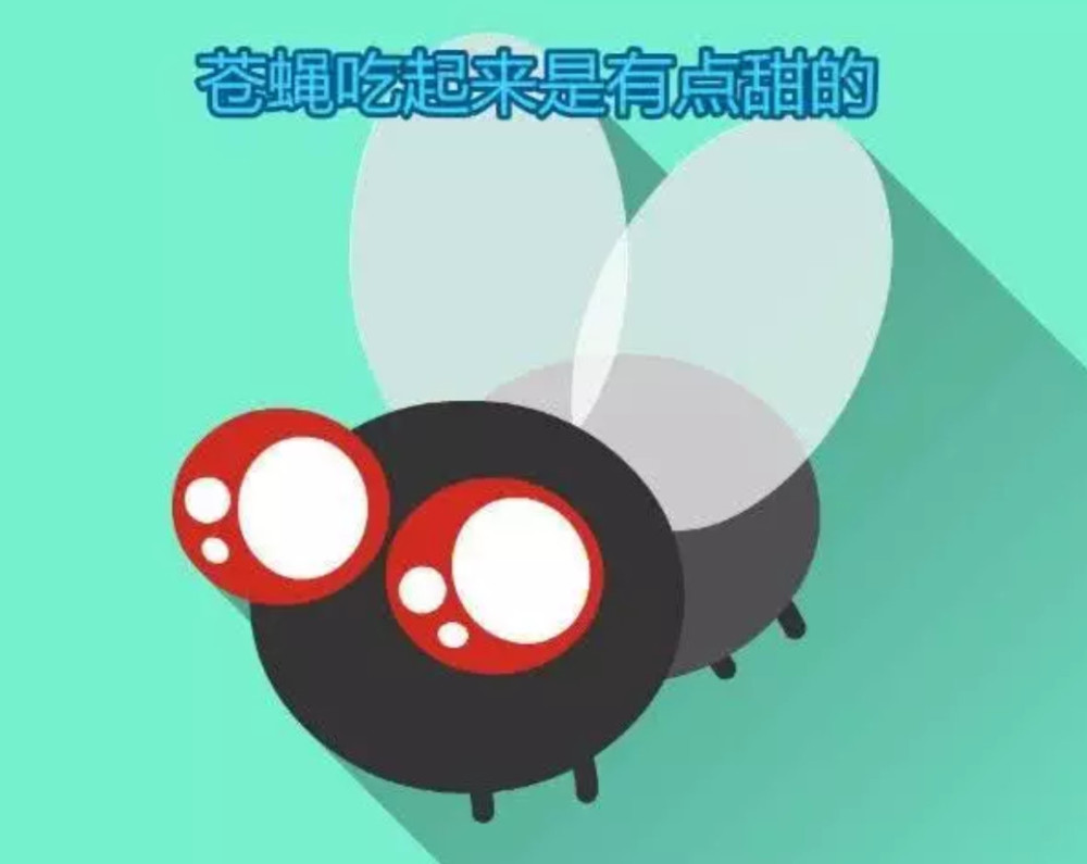 超冷门的小知识:苍蝇吃起来竟有点甜?吃菠萝的同时菠萝也在吃你
