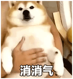 表情包:傻狗表情包