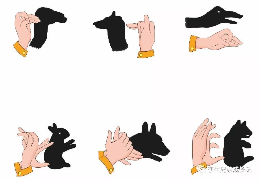 看下图↓ 通过手势变化就能造出各种各样生动形象的人或动物影像,是不