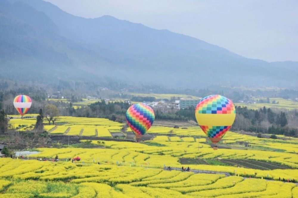 腾冲,油菜花海,高黎贡山,北海湿地