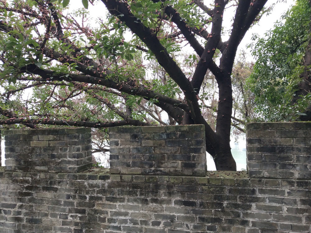 没想到邕城南宁还有这么好的古城墙,值得一看!