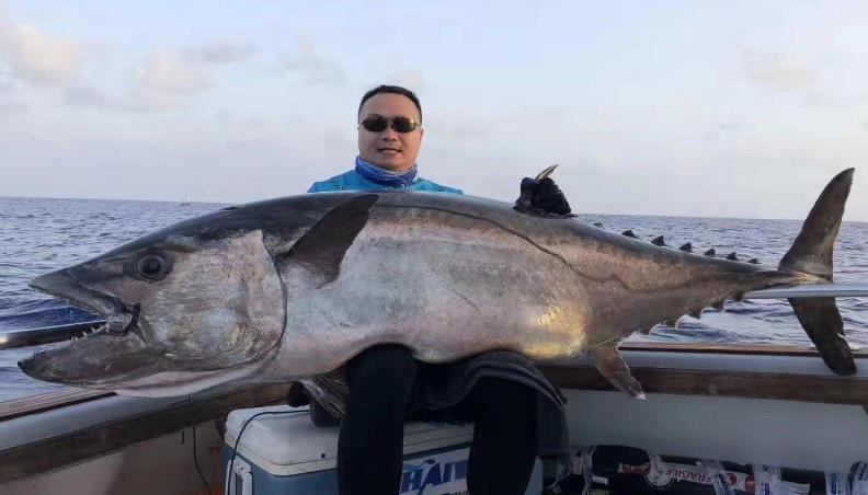 见过在沙滩上钓鲨鱼吗?海钓人前往澳大利亚神秘小镇沙滩钓犁头鳐