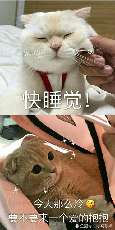 首先是第一张图,上图是有个人再捏着猫的脸让她快点睡觉,这种表情包