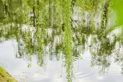 最是一年春好处