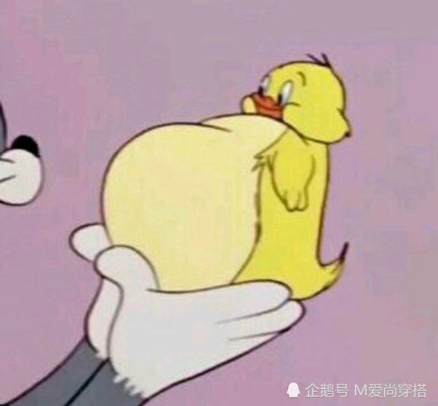 最后这组情侣头像是一对可爱的小猪!