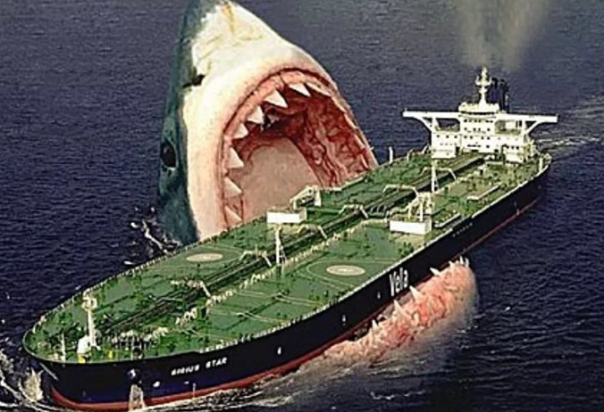 世界上最大的鲨鱼,长达14米可以一口咬断游轮,因食量太大灭绝