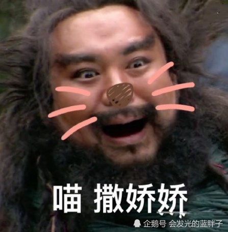 全网最火