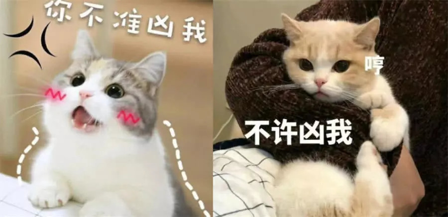 超甜情侣表情包:我真想用我的小舌头 堵住你的狗嘴