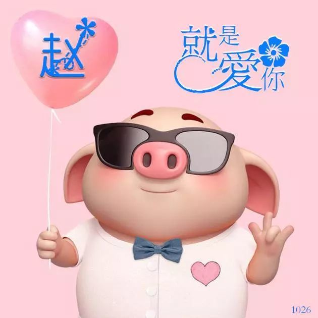 100个可爱猪微信姓氏头像