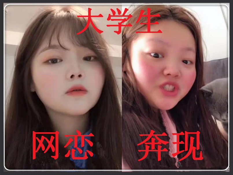 初中生:网恋太美妙,高中生:说的很对,大学生:发誓永不