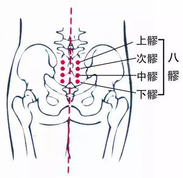 男女通吃的八髎穴