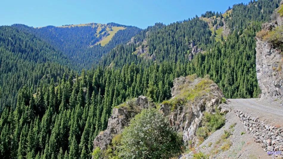 在这里 你可以同时欣赏到 雪山,高山草甸,山地森林和戈壁荒漠的不同