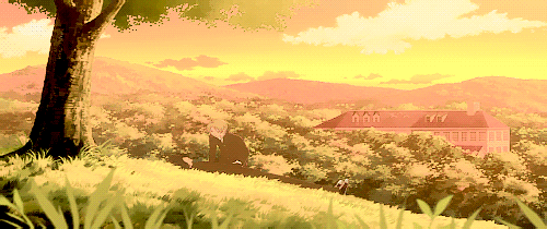 壁纸 成片种植 风景 植物 种植基地 桌面 500_210 gif 动态图 动图