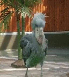 对于这件事你有什么看法?