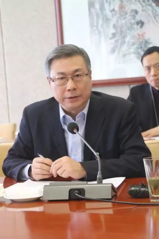 全国人大代表,安庆市市长陈冰冰:锁定首位产业 做到站位高 卡位准