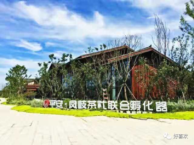 凤岐茶社到底是怎样一家茶社呢?
