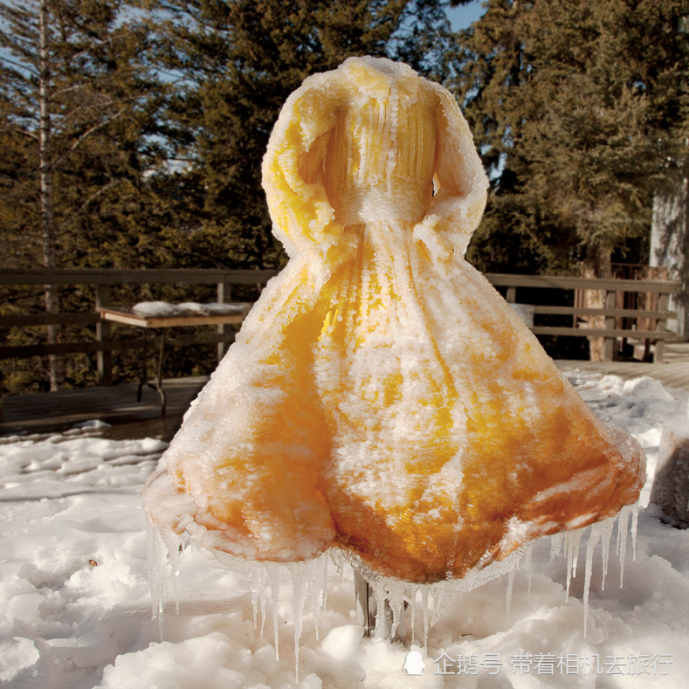 艺术家把湿衣服放在冰天雪地之中,最终冻成了"花"