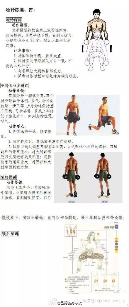 身体各部位哑铃肌肉健身图解!想练哪里一目了然,转而收藏之!