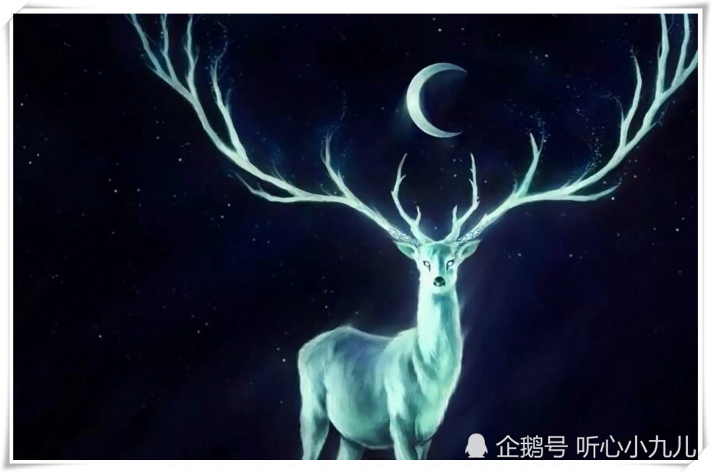 12星座的上古守护神兽是什么?天蝎座真厉害!