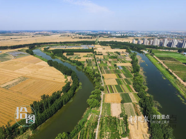 京杭大运河,德州,大运河文化,周其震,刘庆同,武城县