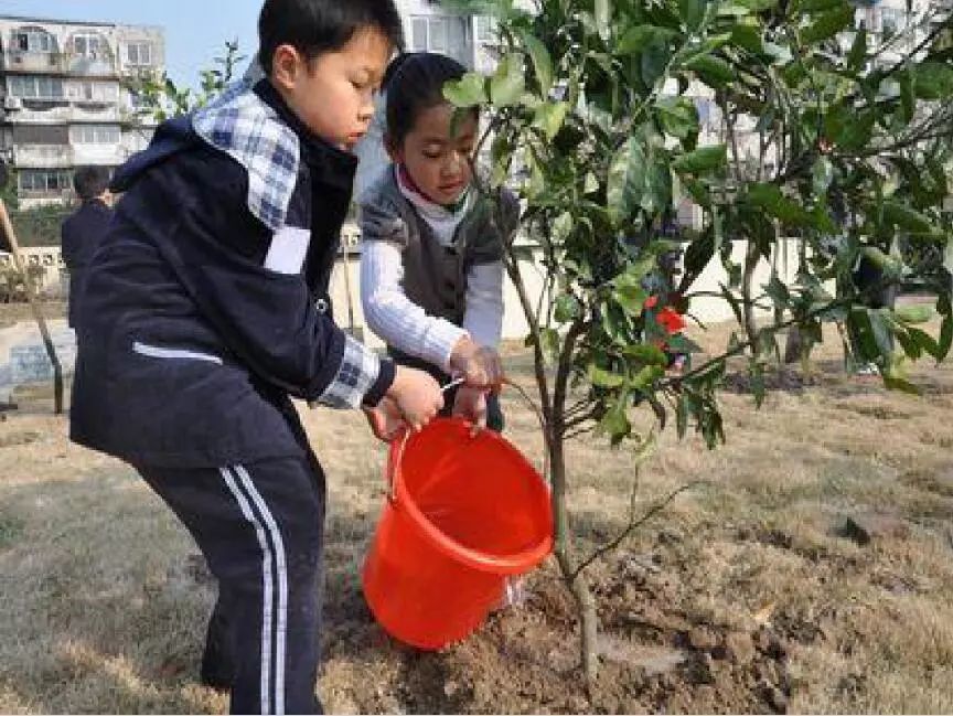 今天你植树了吗?