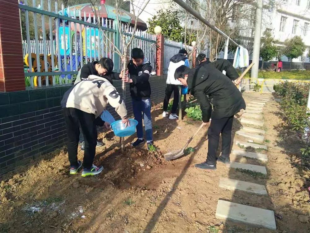 茅坪学校开展"爱绿护绿"校园植树活动