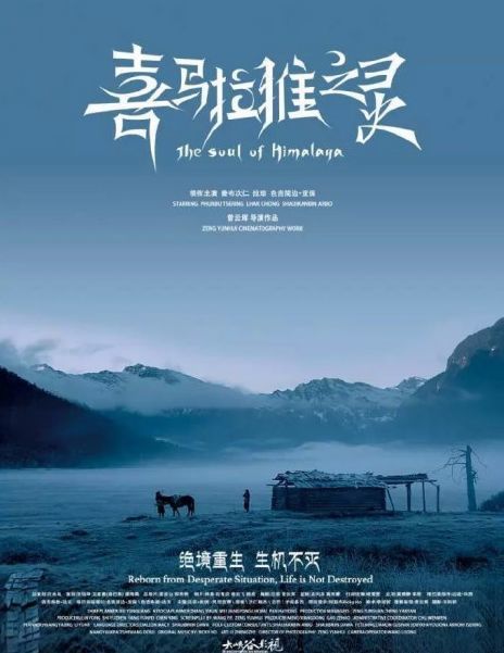 从电影《喜玛拉雅之灵》到珞巴族服饰:绝境重生,生机不灭