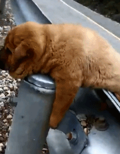 搞笑gif:舞步在高超,也怕鞋跟高