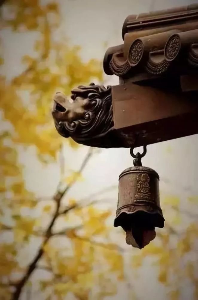俗话说,熟悉的地方没有风景,距离产生美.