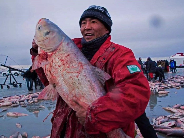 第三种:查干湖头鱼