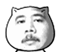 猥琐猫小表情