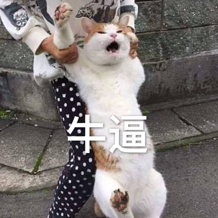 表情包,可爱猫咪:你不喜欢我,这是病,得治