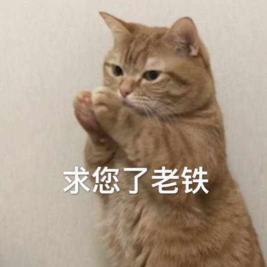 表情包,可爱猫咪:你不喜欢我,这是病,得治