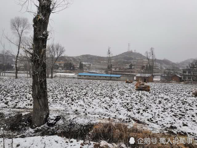 西部农村地区的人越来越少,农村为何只剩下少
