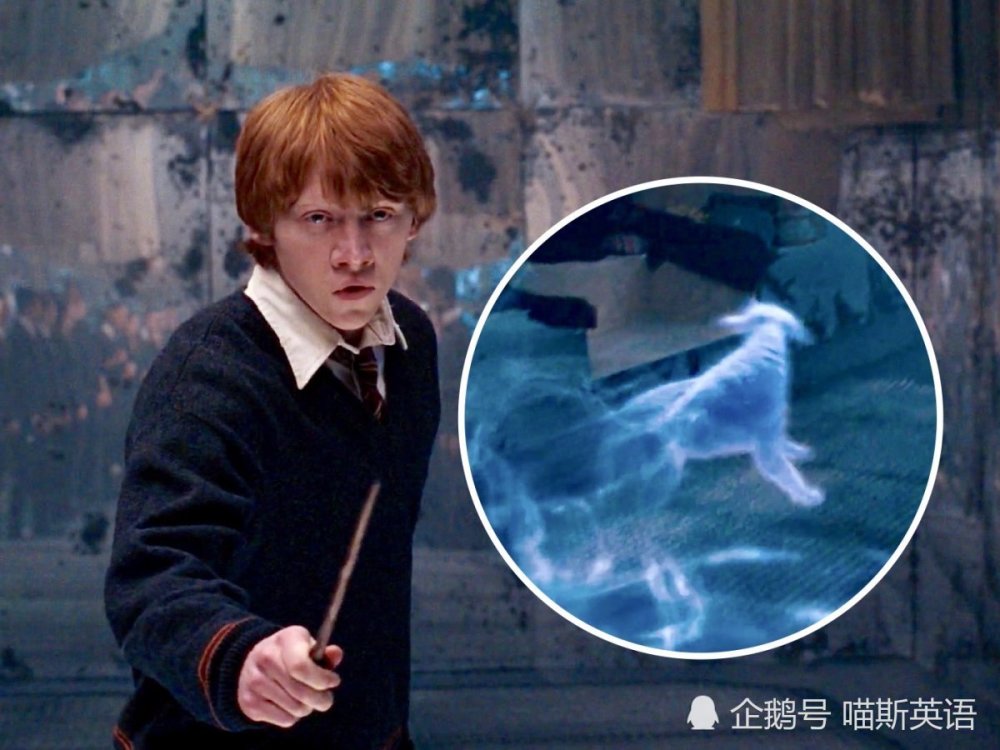 哈利波特:最受欢迎守护神Top 10,你会选哪只守