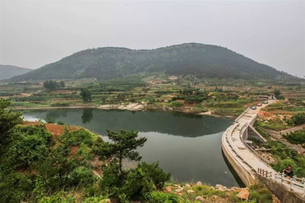 山亭区,原始森林公园,枣庄,水利风景区,乡村旅游,樱花