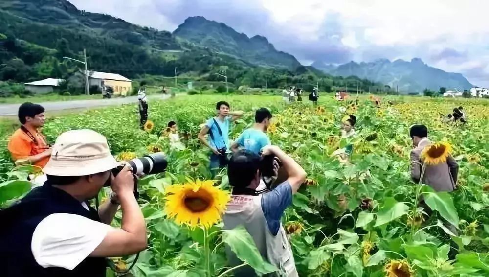 发展乡村旅游的最新政策法规