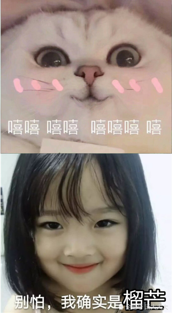 污污,女生,表情包,撒娇,可爱