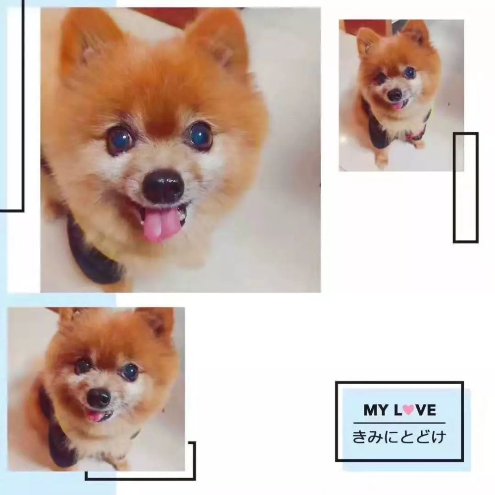 赣榆人口2021多少人口_赣榆煎饼