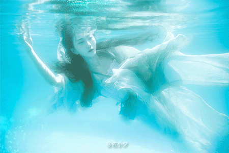 会动的水下摄影,太美了!
