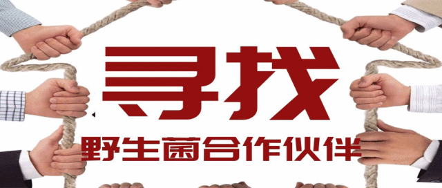 晋宁招聘信息_2018年凉山事业单位 考试时间 安排